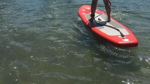 Two people paddleboarding on a calm sea with clear skies. - Iconic comfortable idyllic bach/cottage, in secluded Enclosure Bay , (Waiheke Island)