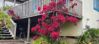 Iconic comfortable idyllic bach/cottage, in secluded Enclosure Bay ,