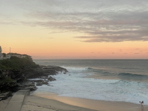 Beach - Bronte Beautiful Garden Apartment 8 min walk form beach (Bronte)
