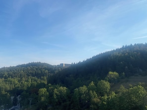 A hilly landscape with dense forest and a distant building. - A Cozy Balcony Retreat with Mountain Views - Right at the Foot of the Slopes and Hiking Trails (Villard-de-Lans)