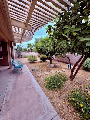 A covered patio area with outdoor seating, a garden with various plants, and a clear sky. - 2-bedroom house in Active Adult Golf Course Community in Chandler (Chandler)