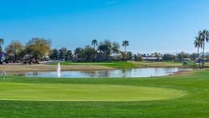 A golf course with a pond, palm trees, and houses in the background. - 2-bedroom house in Active Adult Golf Course Community in Chandler (Chandler)