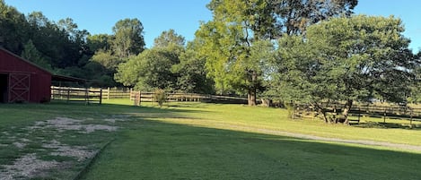 A grassy outdoor area with a red barn, trees, and a wooden fence.