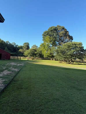 Property grounds - Sweet Fern Farms Artesian Spring & Country Getaway (Saluda)