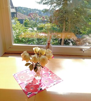 Interior - Vrbo Property (Braunlage)