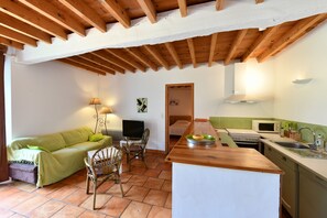 A compact living space with a kitchenette, a sofa, a dining table, and a television. - Charming estate for 14 people with a pool, lake, and private grounds (Arrosès)
