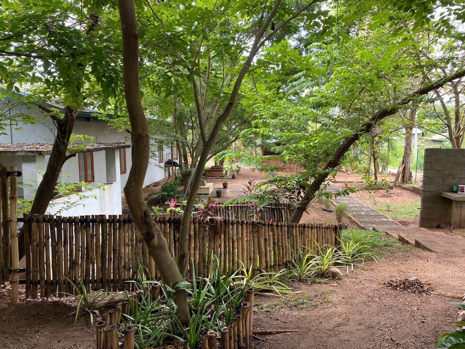 Un giardino con recinzione in bambù, diverse piante e un edificio bianco con una finestra.