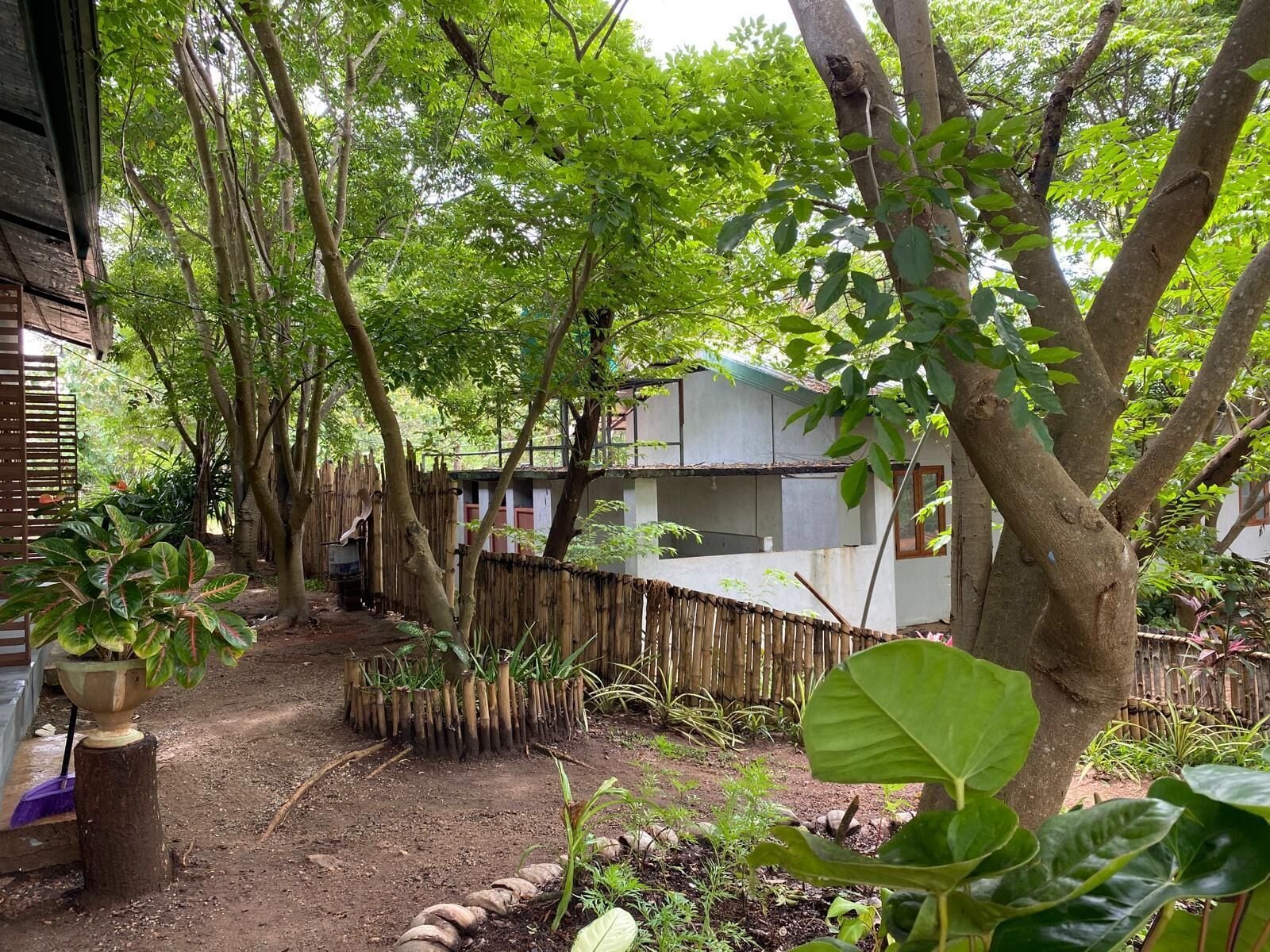 Un jardín con diversas plantas y árboles, una valla de bambú y un edificio con tejado de tejas.