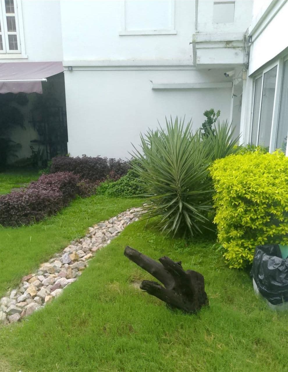 Jardín