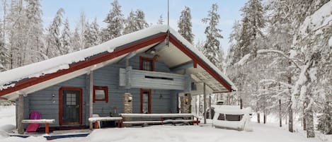 A cabin with a sloped roof, a satellite dish, and a covered porch.