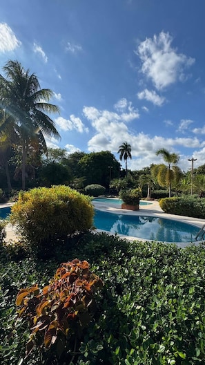 A pool surrounded by lush greenery and palm trees under a clear sky.