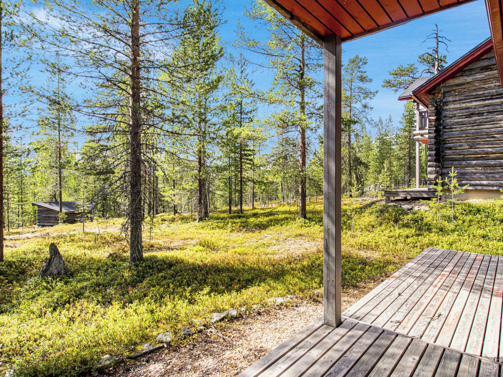 A wooden cabin with a deck, surrounded by a forest with tall trees and a clear sky.