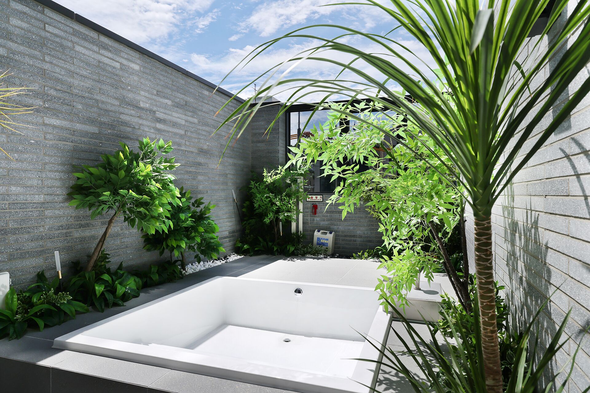 Un espacio exterior moderno con una piscina rectangular, rodeado de abundante vegetación y un muro de ladrillo.
