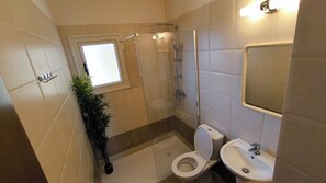 Regadera, toallas, papel de baño 