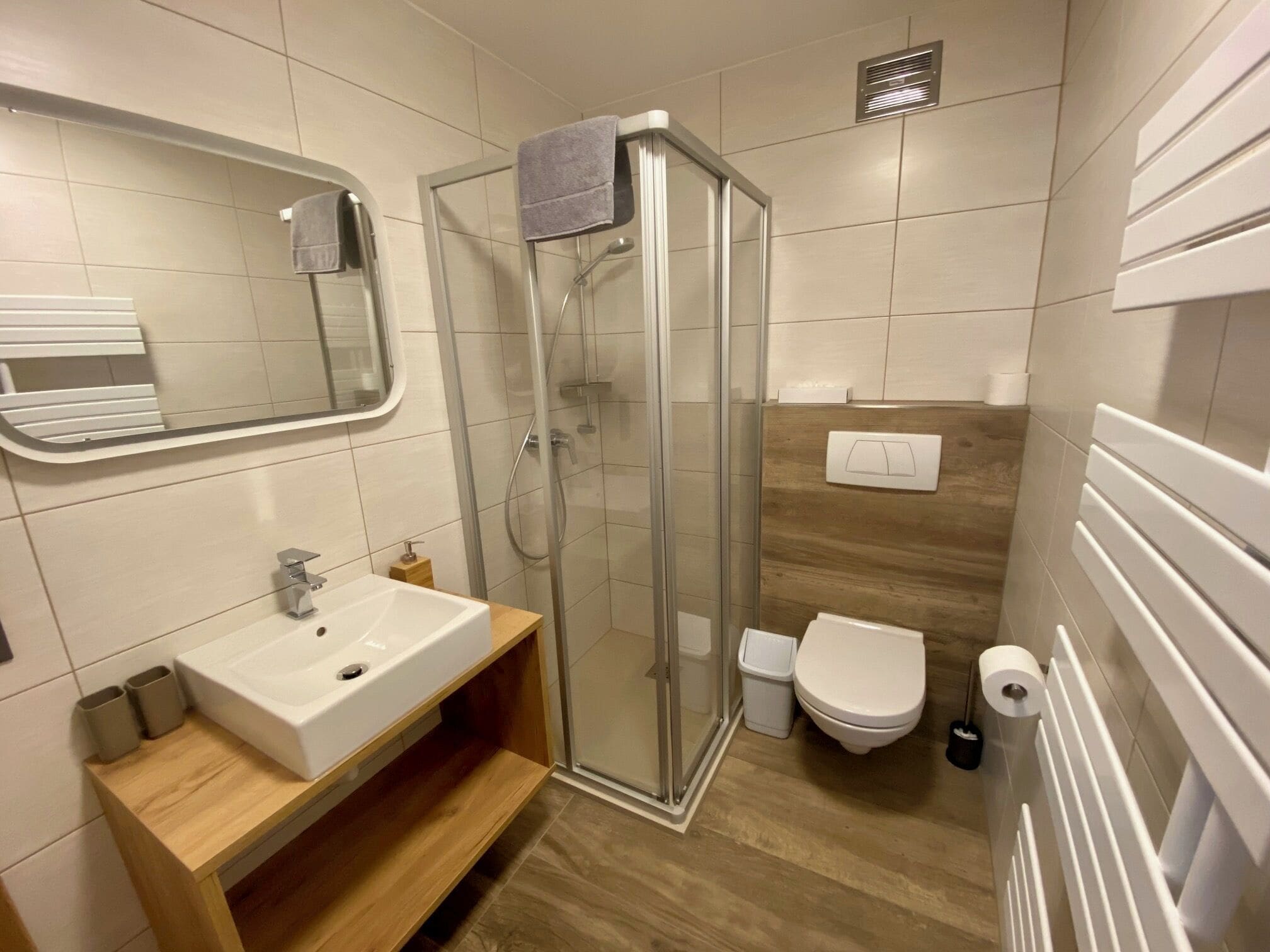 A modern bathroom with a glass shower enclosure, a white sink, and a toilet.