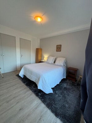 Une chambre à coucher avec un lit, une table de chevet, une lampe et un luminaire au plafond.