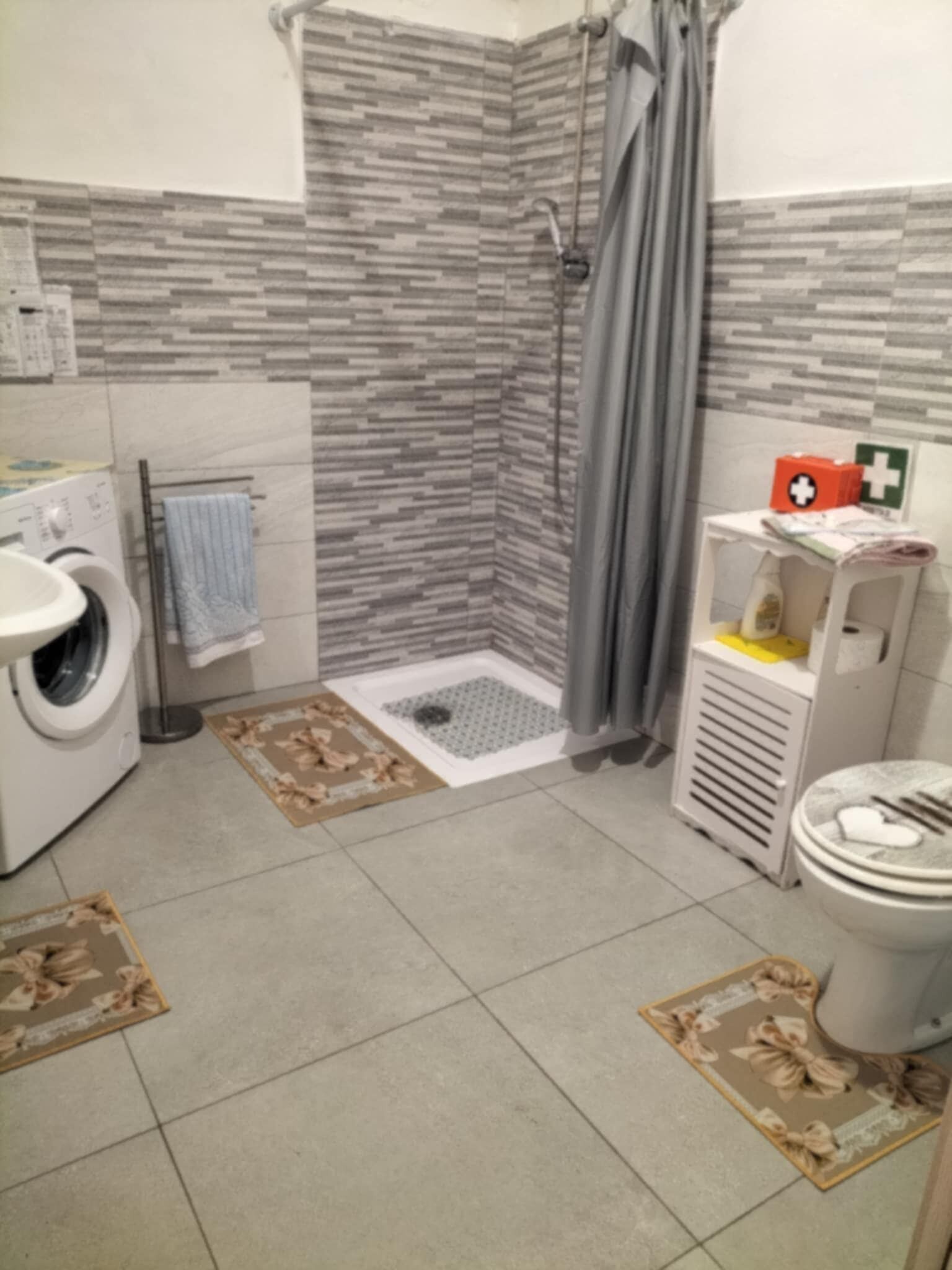 Hair dryer, bidet, towels, soap