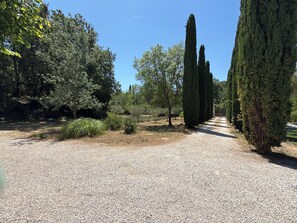 Um caminho de cascalho ladeado por altas árvores cipreste e diversos arbustos.