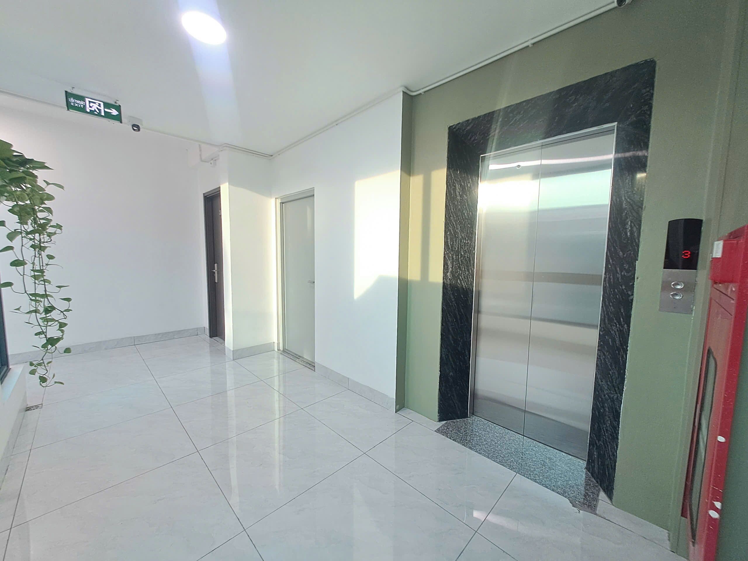 A hallway with a glass elevator, a door, and a potted plant.