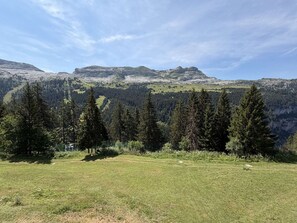 En gräsklädd äng med ett bergskedja i bakgrunden.