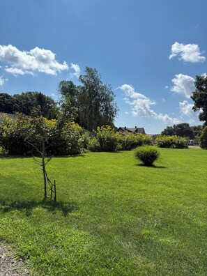 A well-maintained grassy area with a variety of trees and shrubs, a small bush, and a wooden fence.