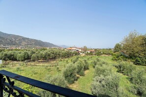 A rural landscape with olive groves, houses, and a mountain in the background.