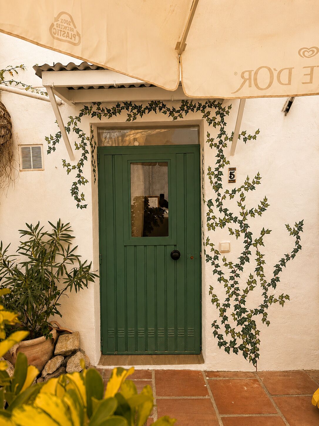 A green door with a window, a white wall, and a hanging plant.