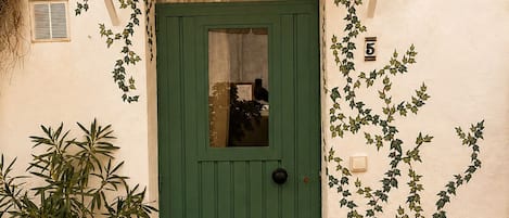 A green door with a window, a white wall, and a hanging plant.