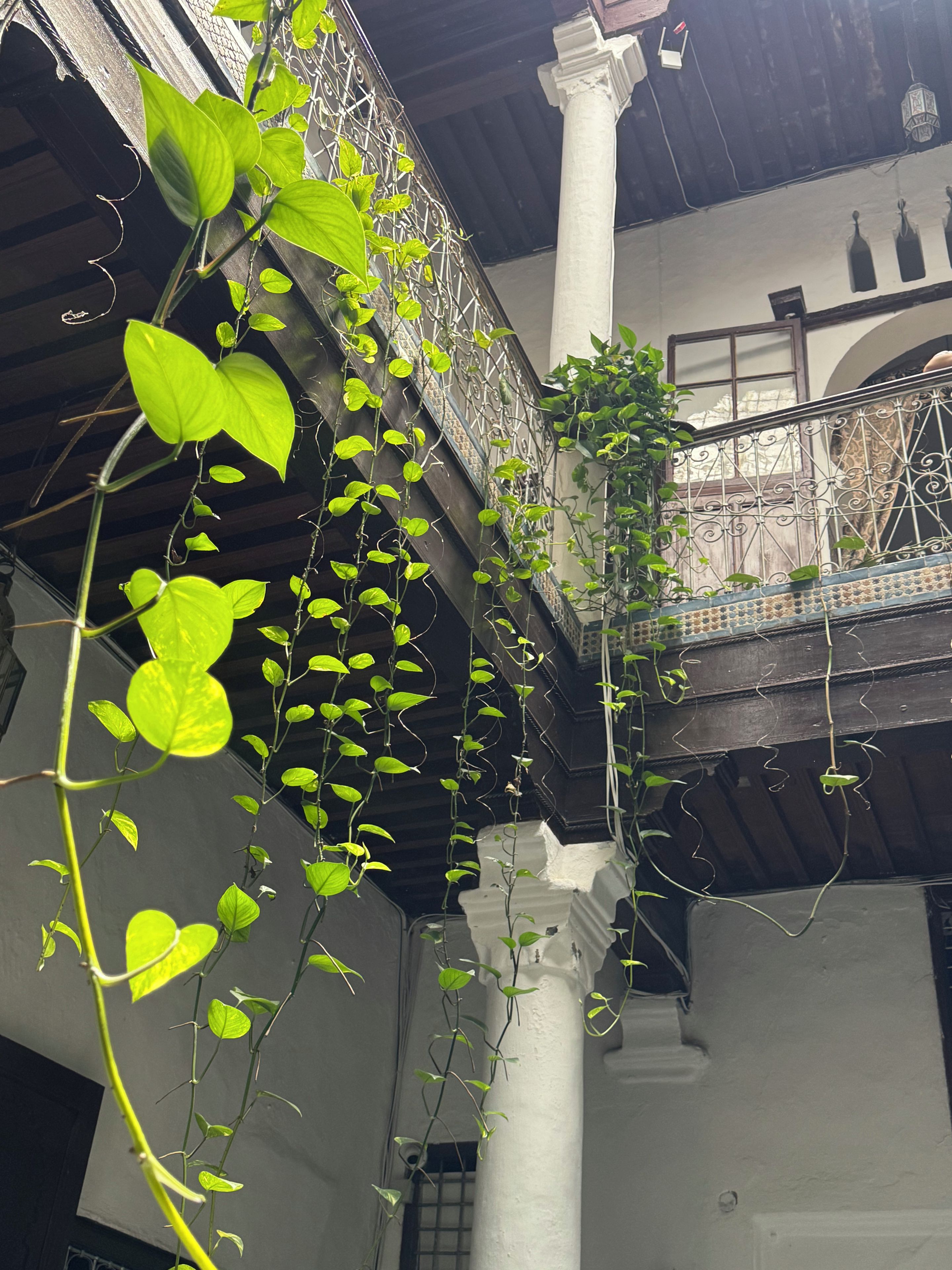 Un edificio con balcón, columnas y plantas trepadoras.