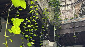 Un edificio con balcón, columnas y plantas trepadoras.