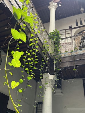 Um edifício com varanda, colunas e plantas trepadoras.