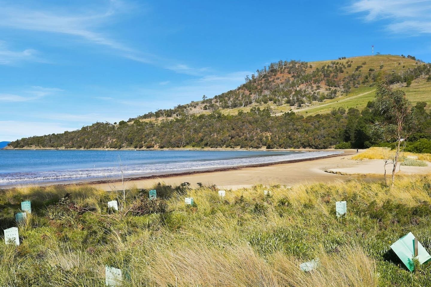 Un paisaje costero con playa, un primer plano de hierba y una colina con árboles.