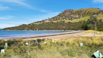 A coastal landscape with a beach, grassy foreground, and a hill with trees.