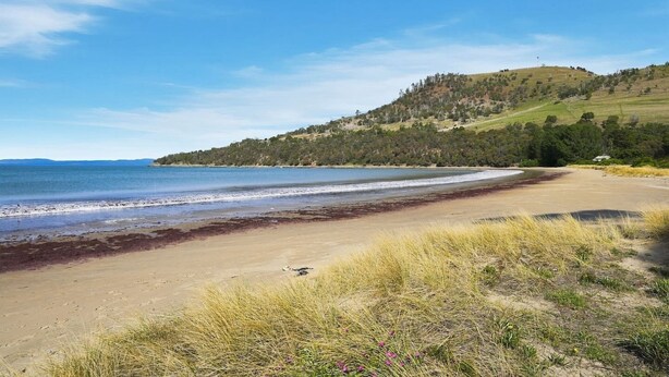Una spiaggia con vista chiara sull'oceano e un paesaggio collinare sullo sfondo.