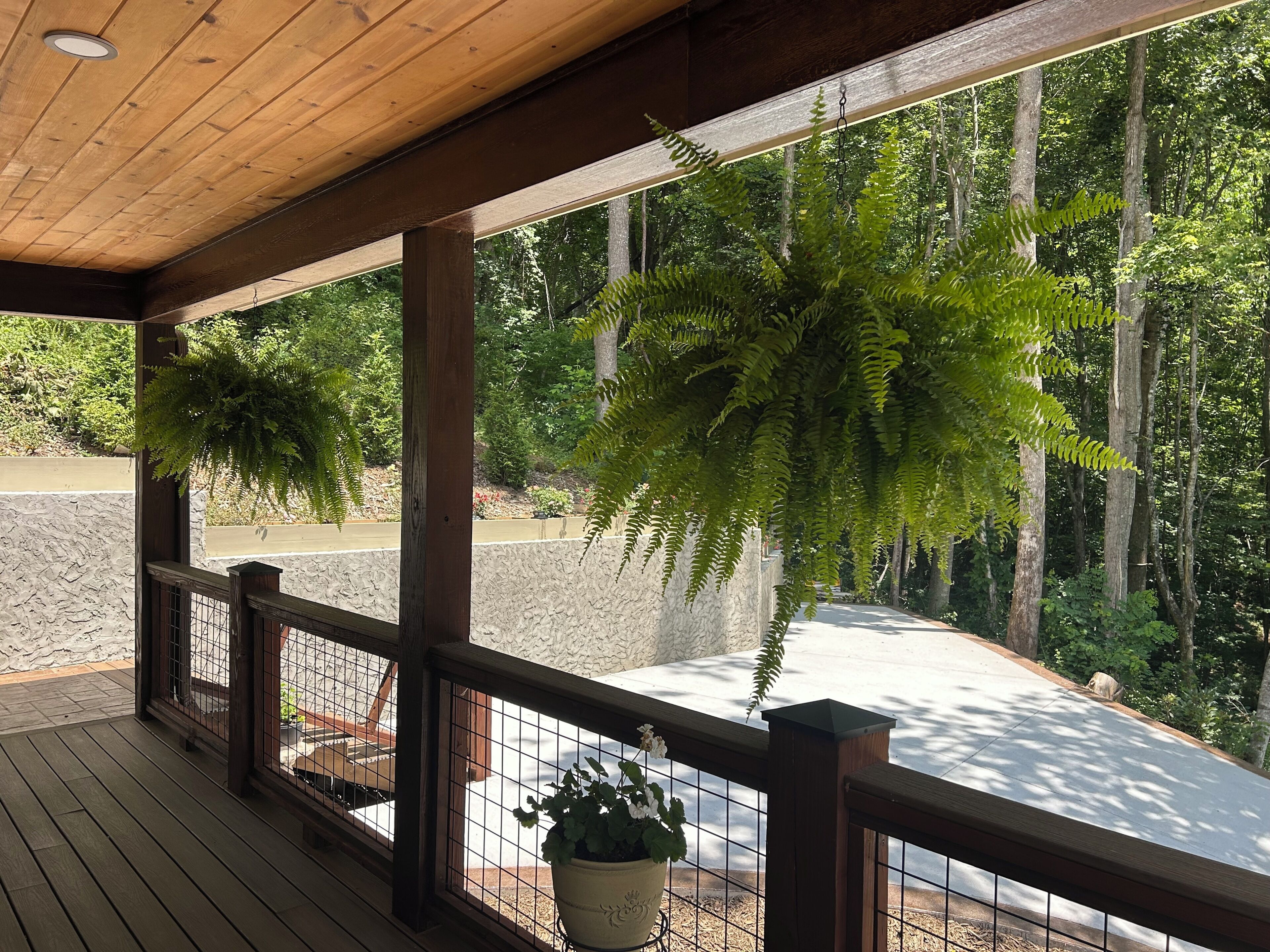 A wooden deck with a railing, a hanging fern, and a potted plant.