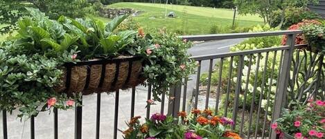 A balcony with a view of a lush green landscape and a flag.