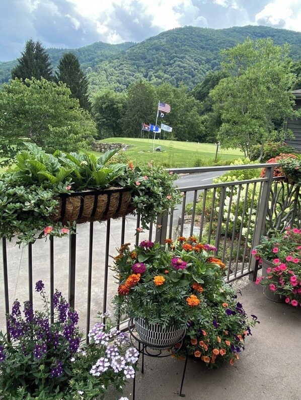A balcony with a view of a lush green landscape and a flag.