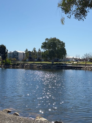A lake with a clear sky, surrounded by buildings and a large tree. - Lovely Lake Treeby Home | 1 Min to Park & Playgrounds (Treeby)