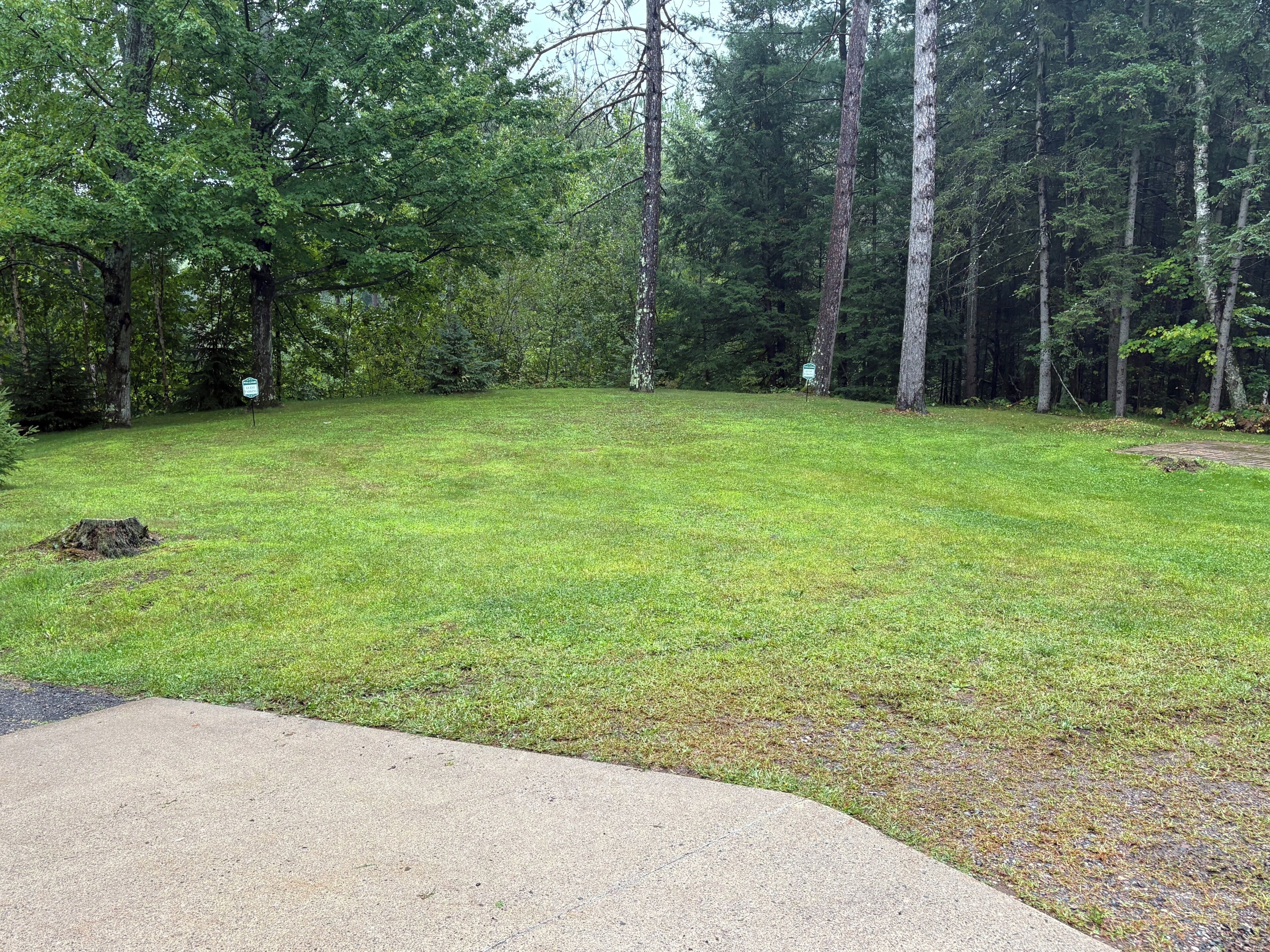 A grassy area with a concrete path leading into a wooded area.