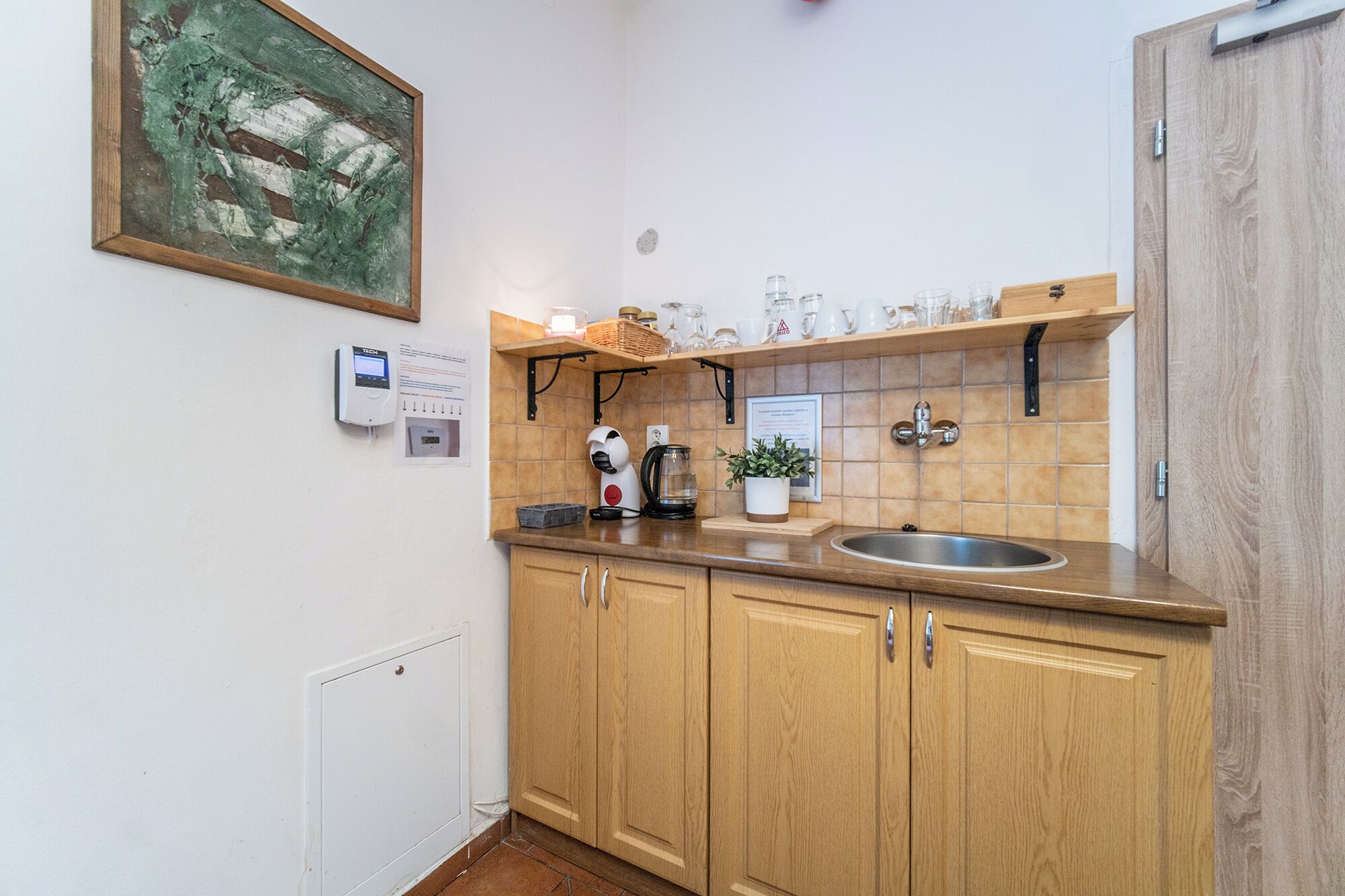 A kitchen with wooden cabinets, a stainless steel sink, a coffee maker, and a small potted plant.