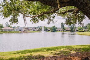 Property grounds - Chandler Cottage, Charming Golf Cottage in Hampton Hall (Bluffton)