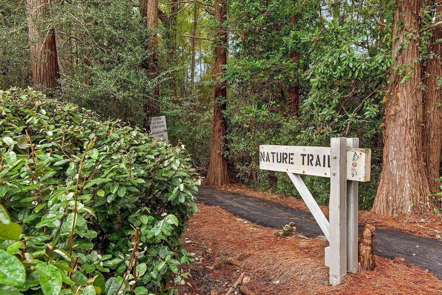 A nature trail sign in a forested area with dense greenery and trees.