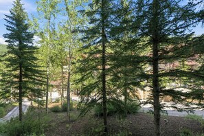 A forested area with tall evergreen trees and a paved path. - The Suite Life (with AC unit!) by Cottonwood Lodging (Brighton)