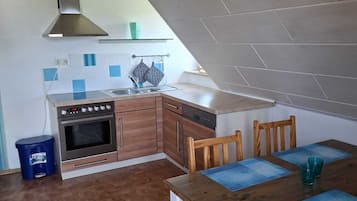 Eine kleine Küche mit Herd, Backofen und modernen Schränken.