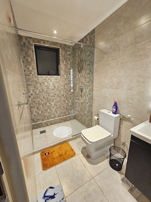 Ducha, bidet, toallas, jabón