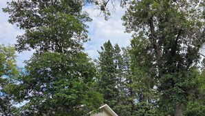 A single-story house with a front porch, surrounded by trees and a well-maintained lawn.
