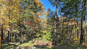 Une forêt sous un ciel dégagé, un espace pique-nique avec des chaises et une table en bois, et une variété d’arbres aux feuillages d’automne aux couleurs variées.