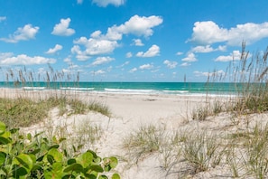 Ein Strand mit Dünen und vereinzelter Vegetation.