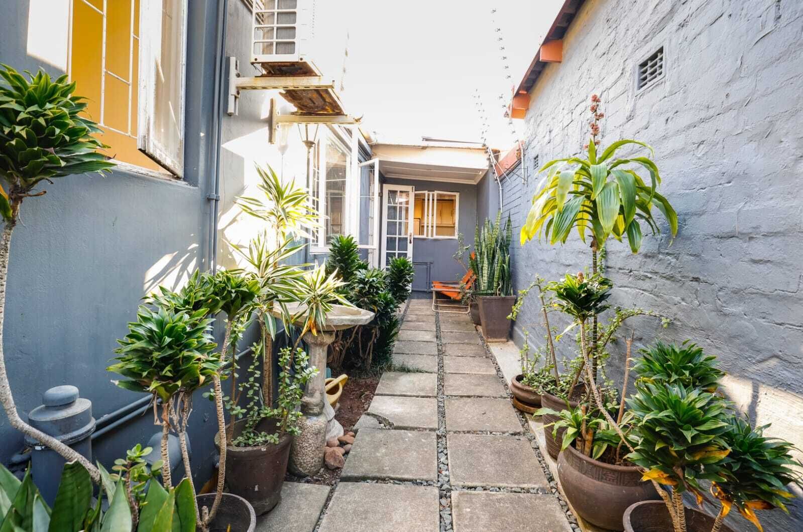 A narrow courtyard with potted plants, a stone pathway, and a building with a window and door.