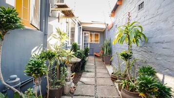 A narrow courtyard with potted plants, a stone pathway, and a building with a window and door.